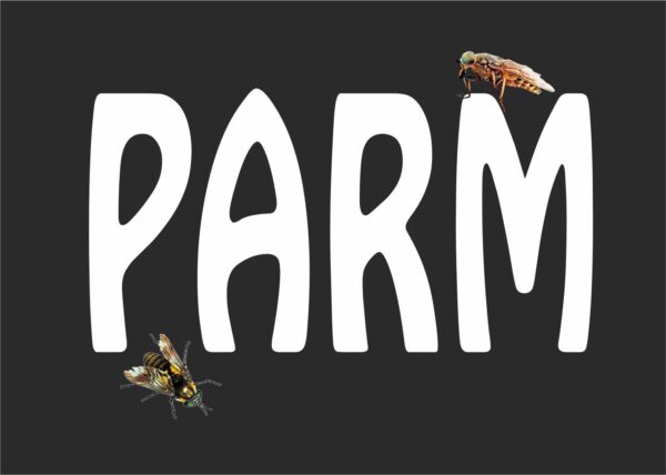 Parm - Image 3